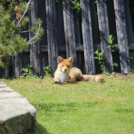 Rudi Ferien Ressort Goslar