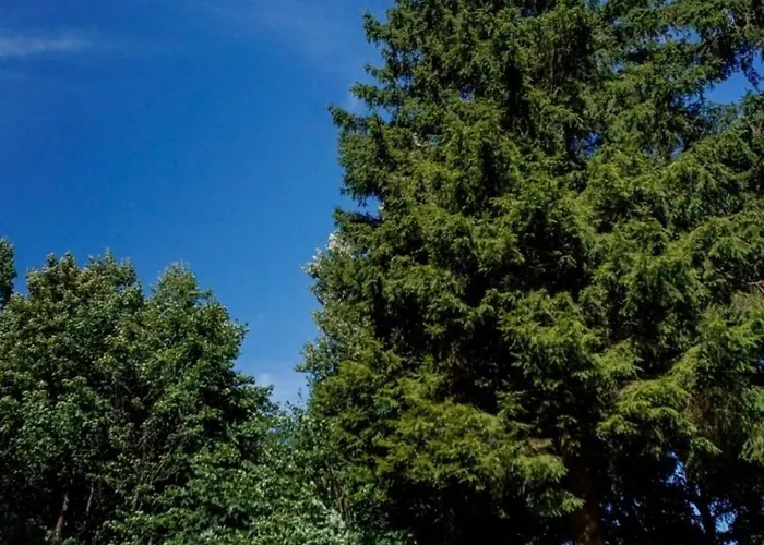 Rudi Ferien Ressort 度假居